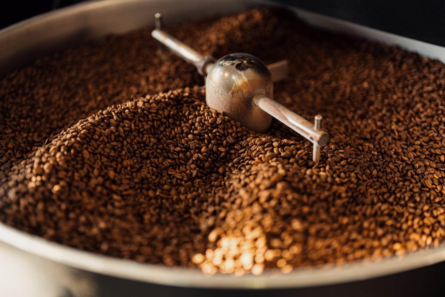 Freshly Roasted Coffee Beans